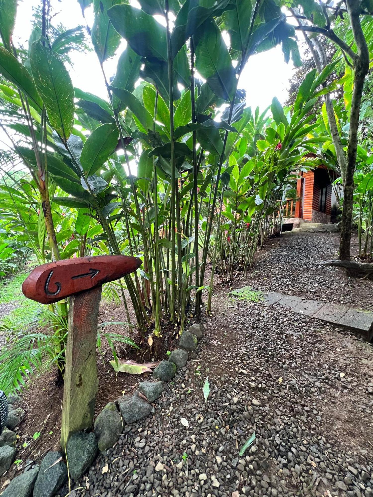 Arenal Rústic Lodge La Fortuna Exterior foto