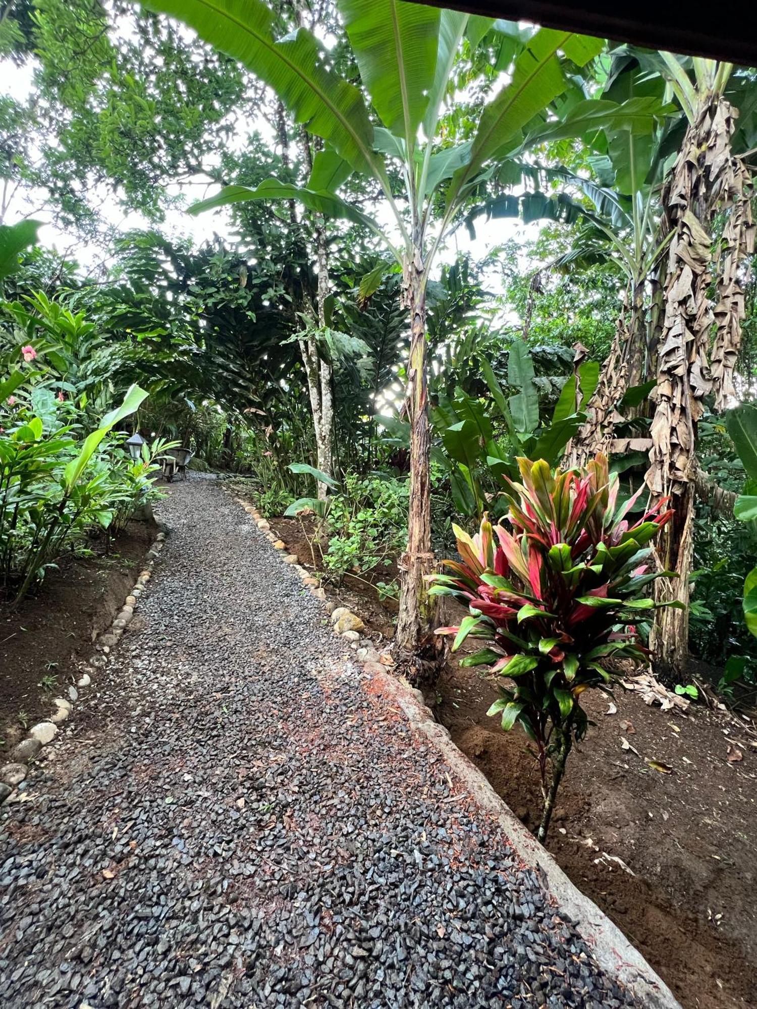 Arenal Rústic Lodge La Fortuna Exterior foto